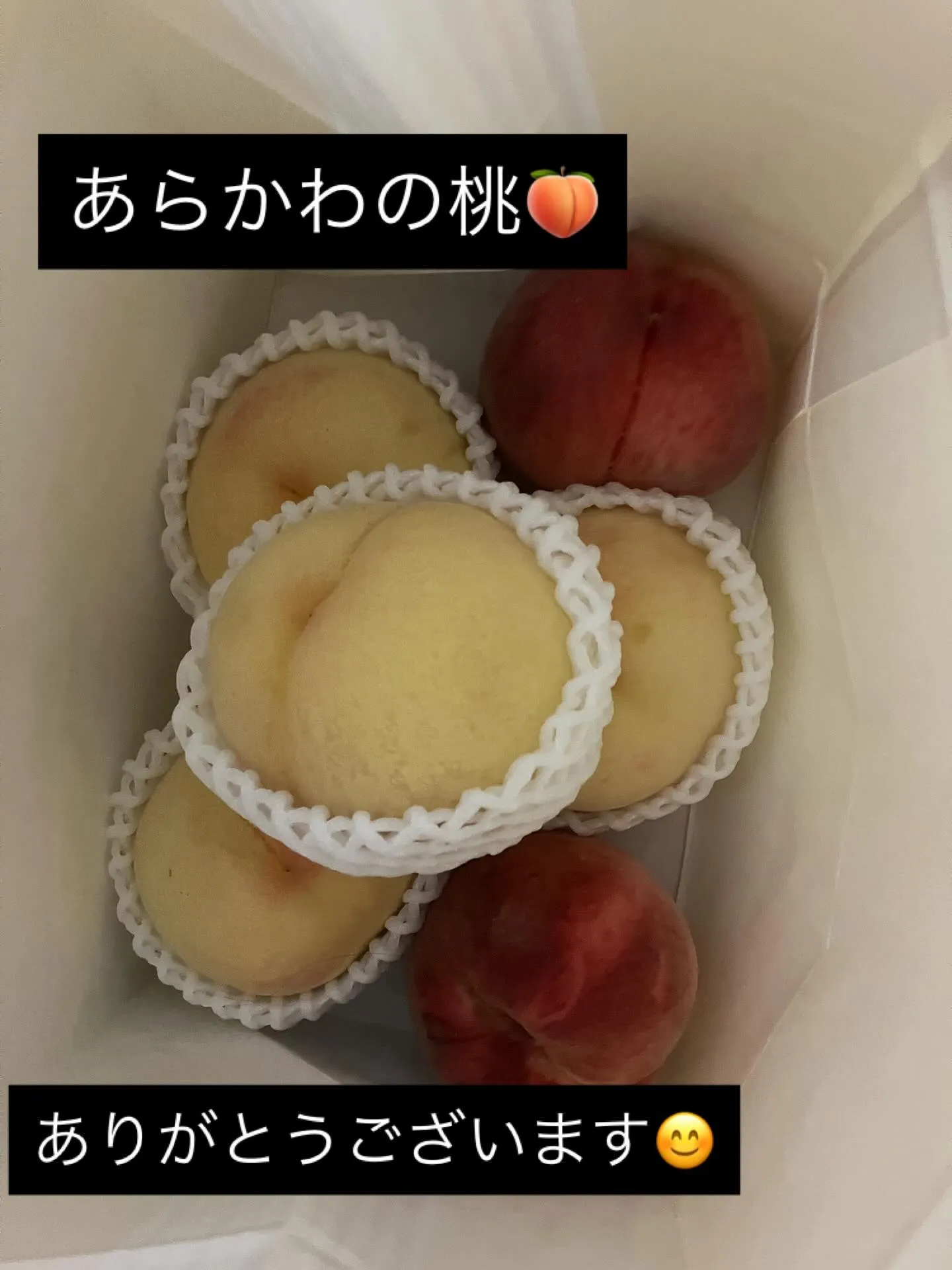 差し入れ頂きました♪