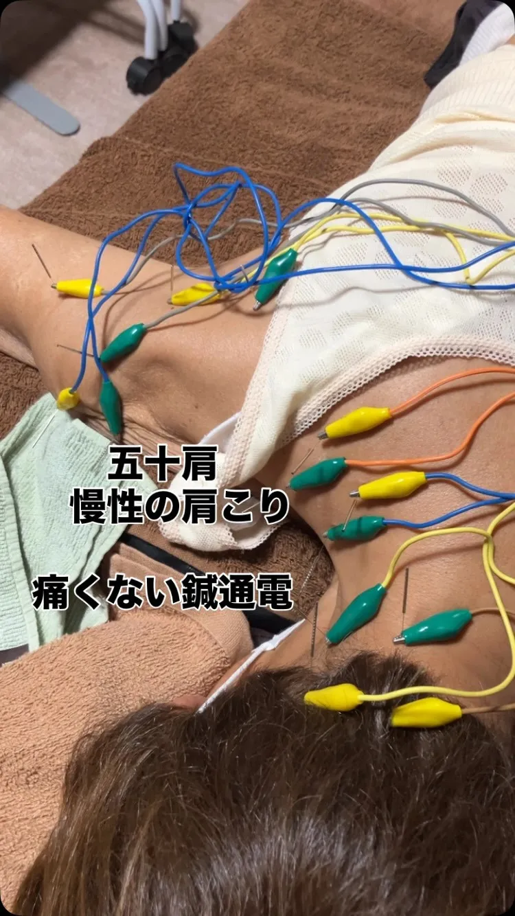 肩こり　腰痛　五十肩　保険